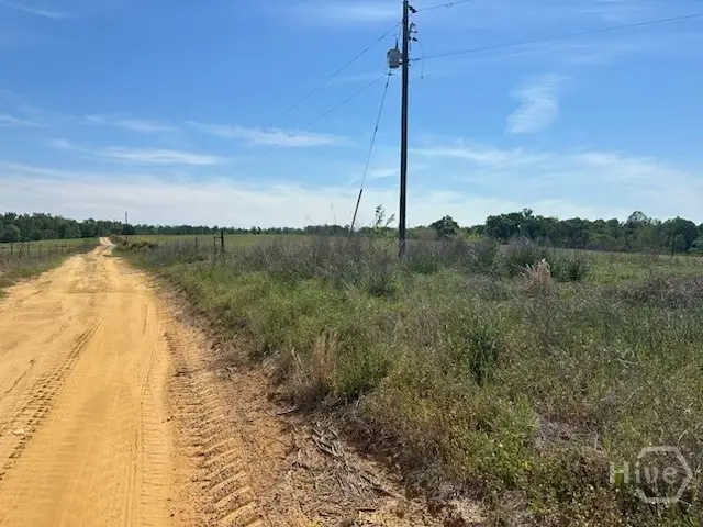 2905 Donald Cobb Road, Bartow, GA 30413 - #2