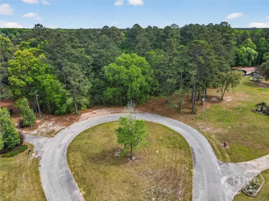 0 Freeman Drive, Ellabell, GA 31308 - #2