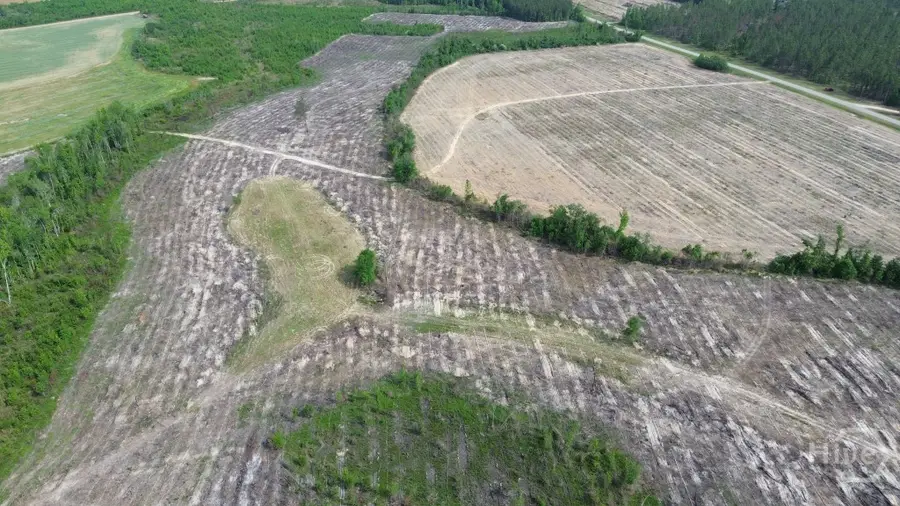 0 Bunn Store Road, Midville, GA 30441 - #3