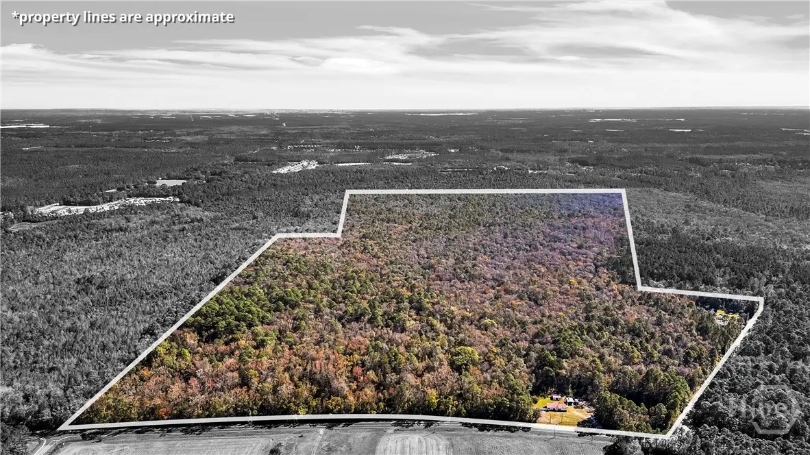 0 Blue Jay, Guyton, GA 31312 - #1