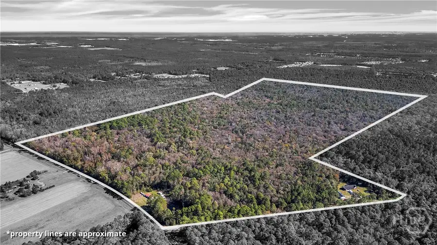 0 Blue Jay, Guyton, GA 31312 - #2