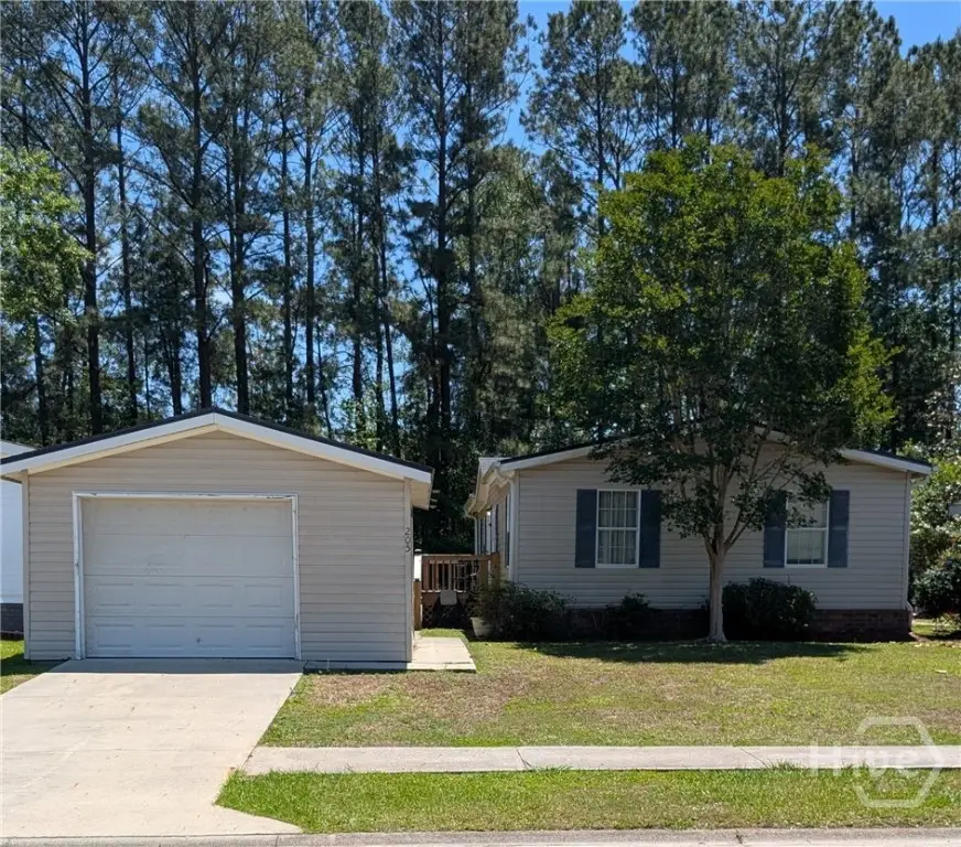 205 Rushing Street, Richmond Hill, GA 31324 - #1
