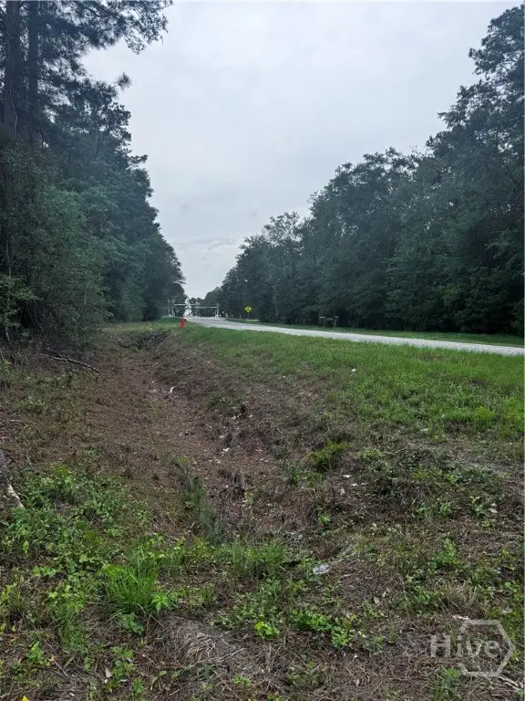 Lot 9 Fort Argyle Road, Savannah, GA 31419