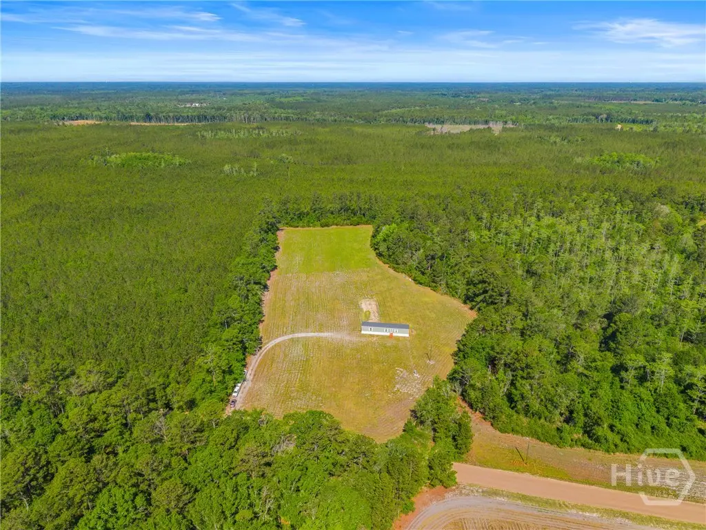 3383 Mill Branch Club Road, Pembroke, GA 31321 - #1