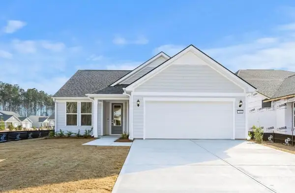 300 Birch Drive, Richmond Hill, GA 31324