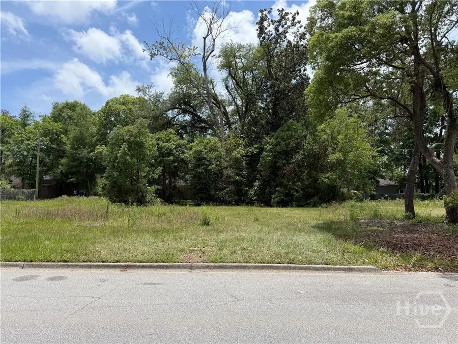 1211 E 60th Street, Savannah, GA 31404 - #3