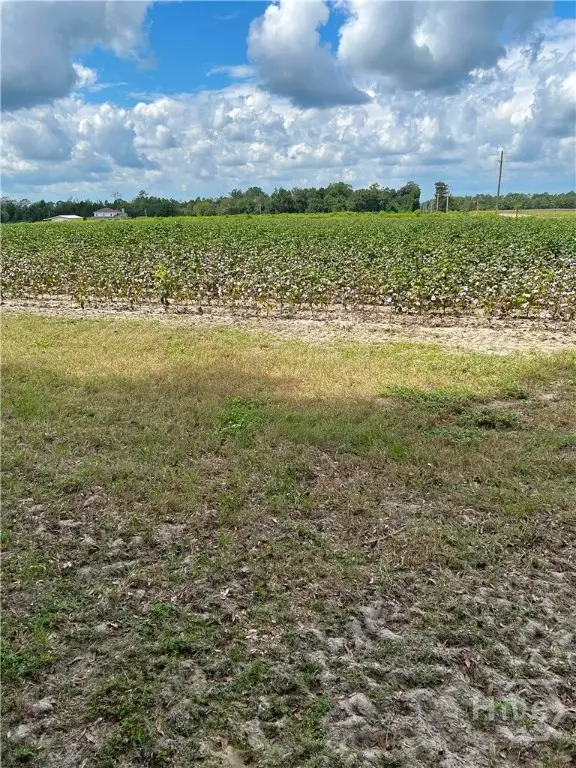 344 Shuman Road, Brooklet, GA 30415 - #3