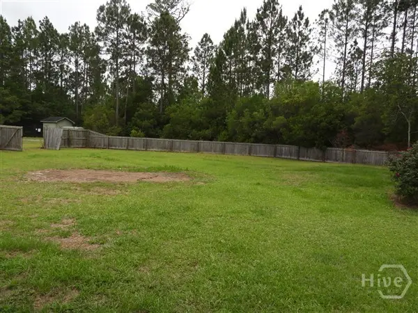 263 Virginia Lane, Ludowici, GA 31316 - #3