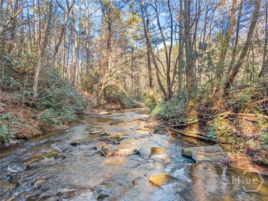 0 Shoal Creek Road, Clarkesville, GA 30523 - #1