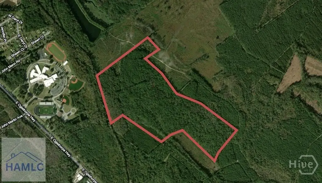 0 Mcintosh Lake Road, Hinesville, GA 31313 - #1
