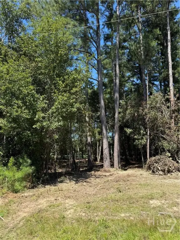 0 Friendship Road, Sylvania, GA 30467
