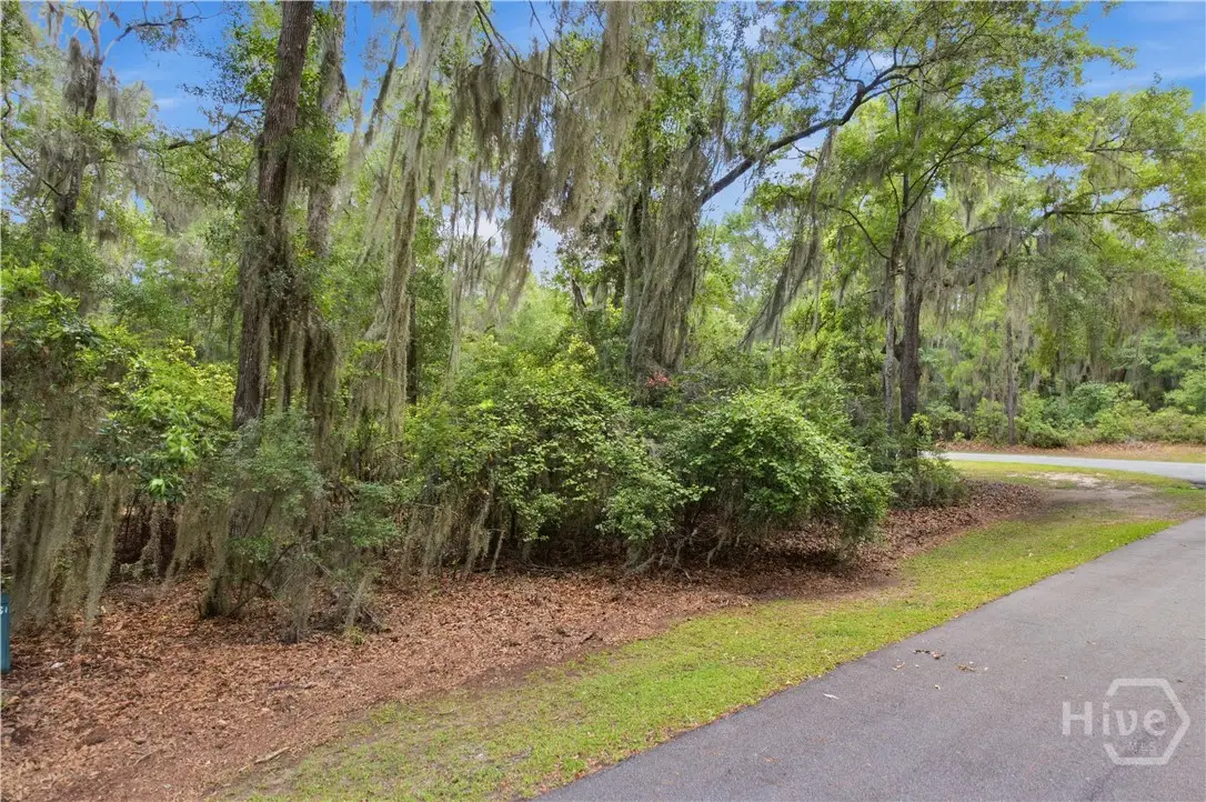 Lot 67 NE Delegal Drive, Townsend, GA 31331 - #1
