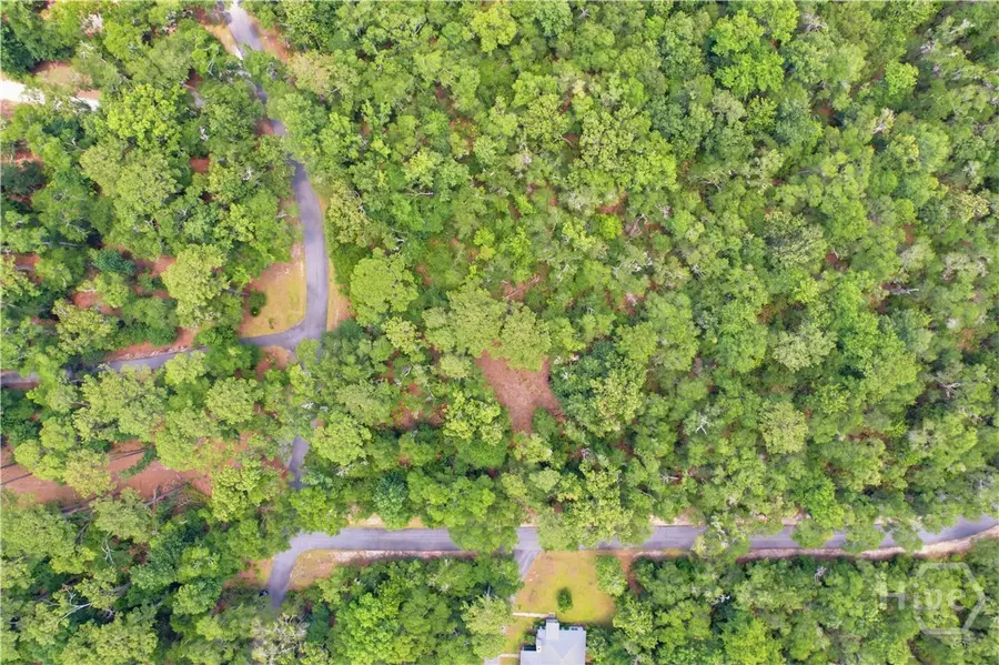 Lot 67 NE Delegal Drive, Townsend, GA 31331 - #2