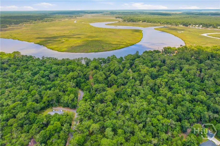 Lot 67 NE Delegal Drive, Townsend, GA 31331 - #3