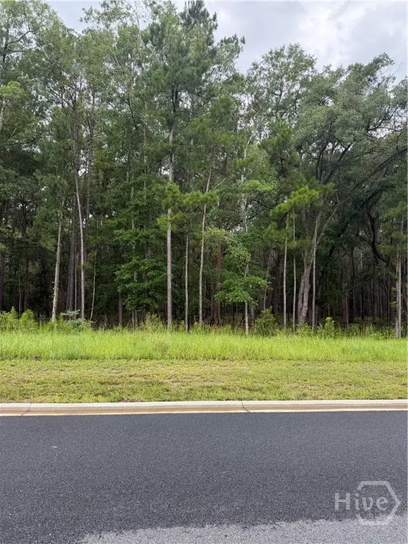 157 Wood Haven Lane, Pooler, GA 31322 - #3