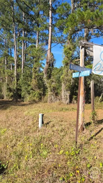 14089 Ga Hwy 251, Darien, GA 31305