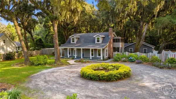 203 Rabbit Hill Road, Richmond Hill, GA 31324