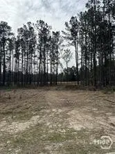 146 Tupelo Street, Pooler, GA 31322 - #3