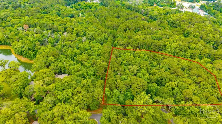 1300 Silk Hope Drive, Richmond Hill, GA 31324 - #3