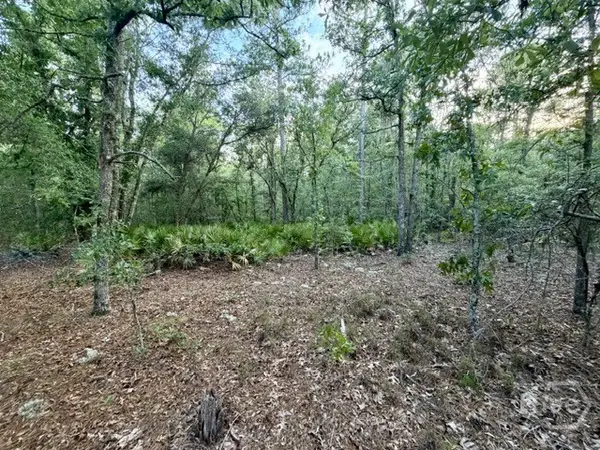 1208 Hillside Drive, Claxton, GA 30417