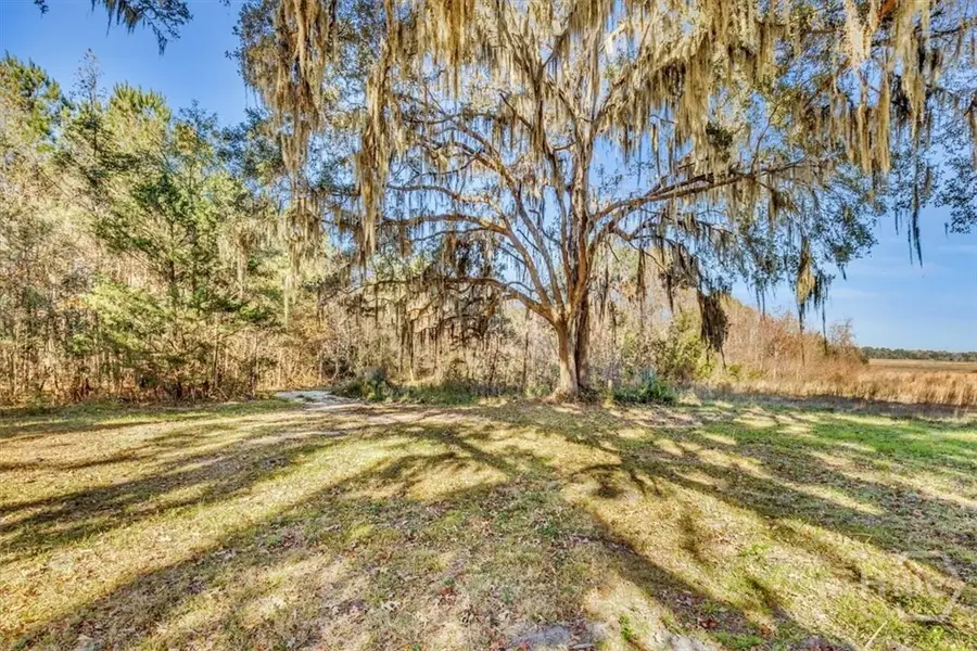 580 Old Gress Island Road, Midway, GA 31320 - #3