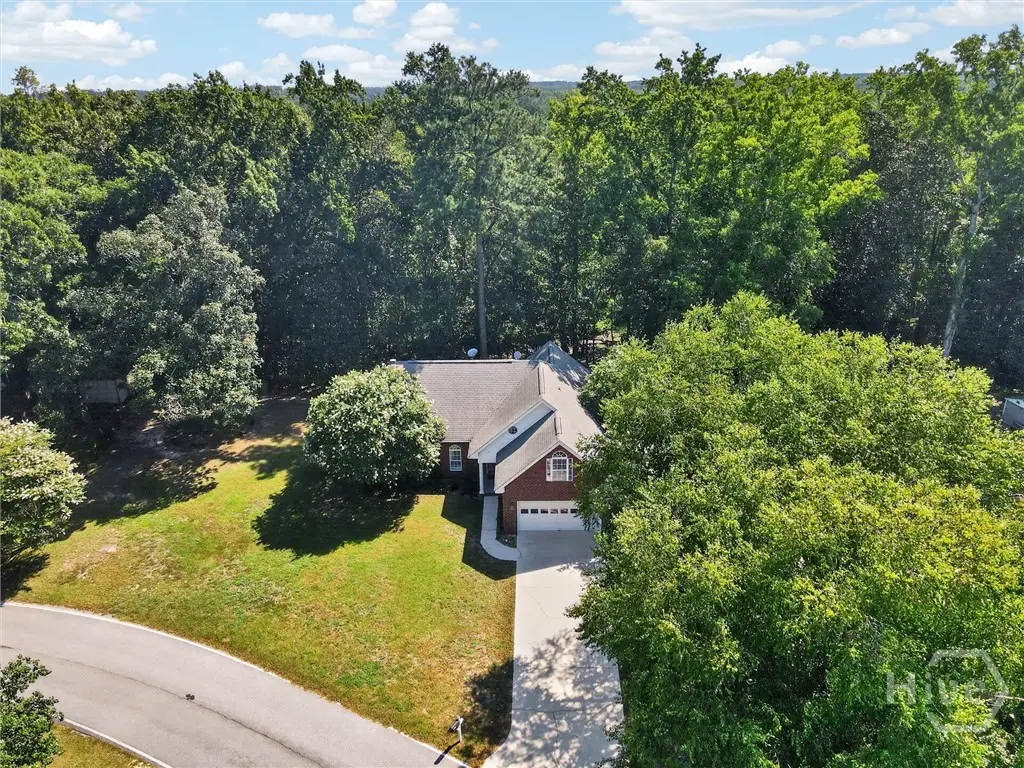 179 Hawk Hammock Drive, Springfield, GA 31329 - #1