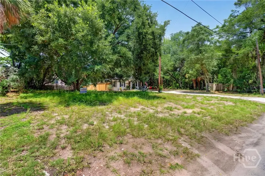 0 Solomon Avenue, Tybee Island, GA 31328 - #3