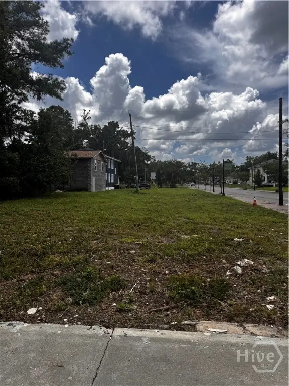1101 E Anderson Street, Savannah, GA 31404 - #2
