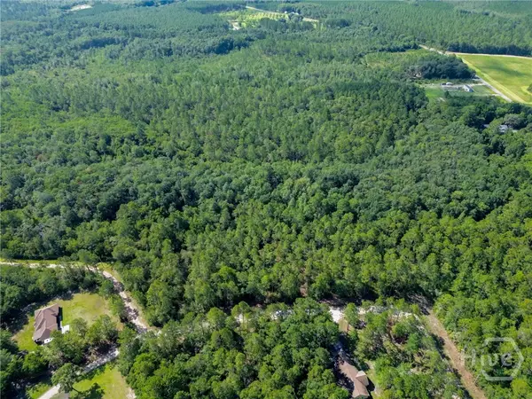 0 Davis Court, Hinesville, GA 31313