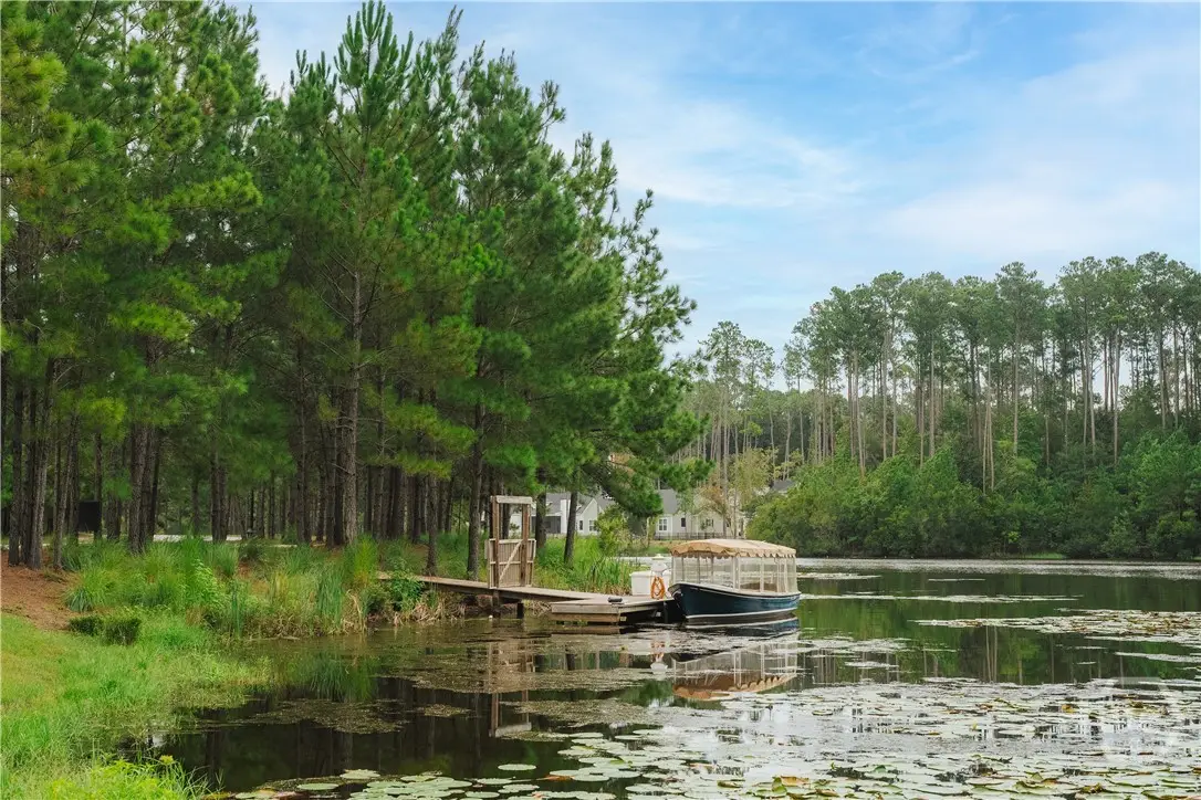 212 Castnet Cove Drive, Richmond Hill, GA 31324 - #1