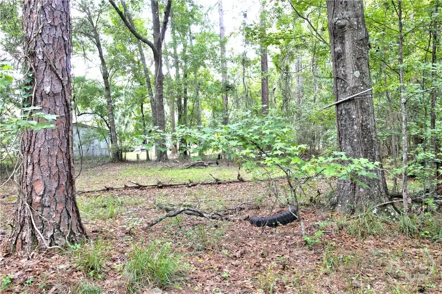 413 Wallace Circle, Bloomingdale, GA 31302 - #3
