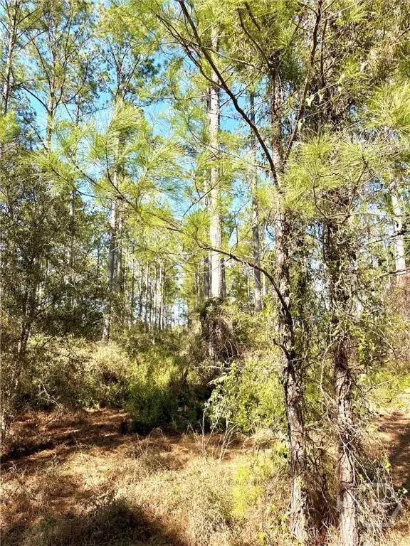 0 Marsh Way, Townsend, GA 31331 - #1
