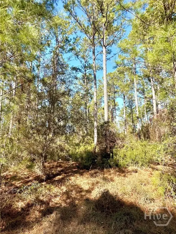 0 Marsh Way, Townsend, GA 31331 - #2
