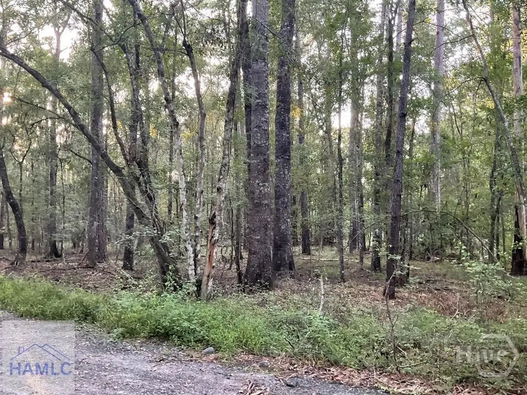 0 Cherry Lane, Hinesville, GA 31313 - #1