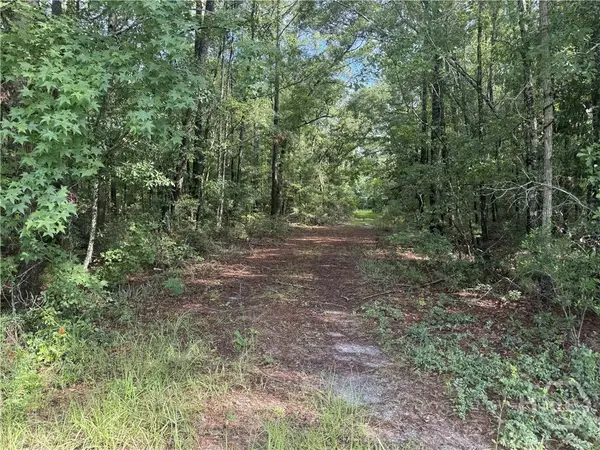 68 Johnson Road, Richmond Hill, GA 31324