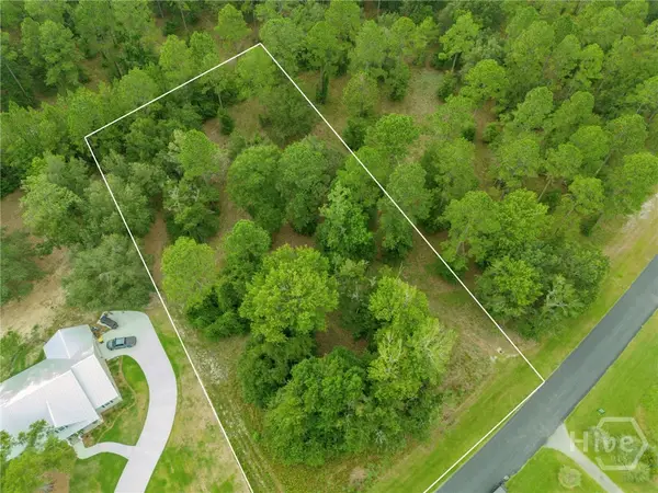 70 NE Coopers Point Drive Ne, Townsend, GA 31331