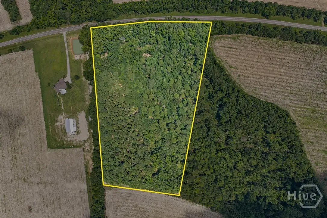 0 N Old River Road, Garfield, GA 30425 - #1