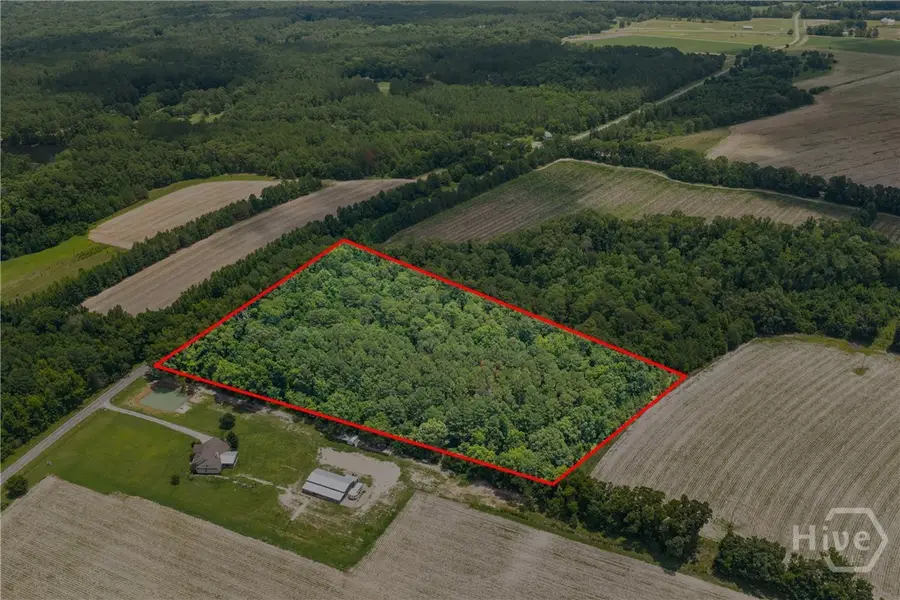 0 N Old River Road, Garfield, GA 30425 - #2