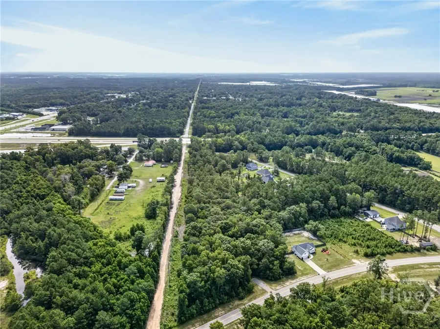 0 Osteen Tract C-2 Road, Bloomingdale, GA 31302 - #2