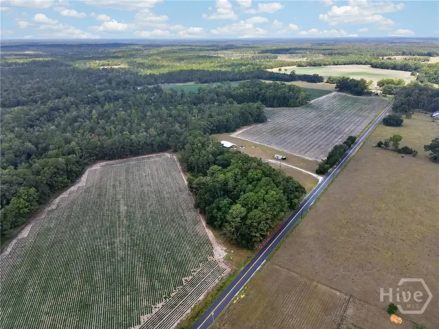 0 Tract A Morgan Road, Springfield, GA 31329 - #2