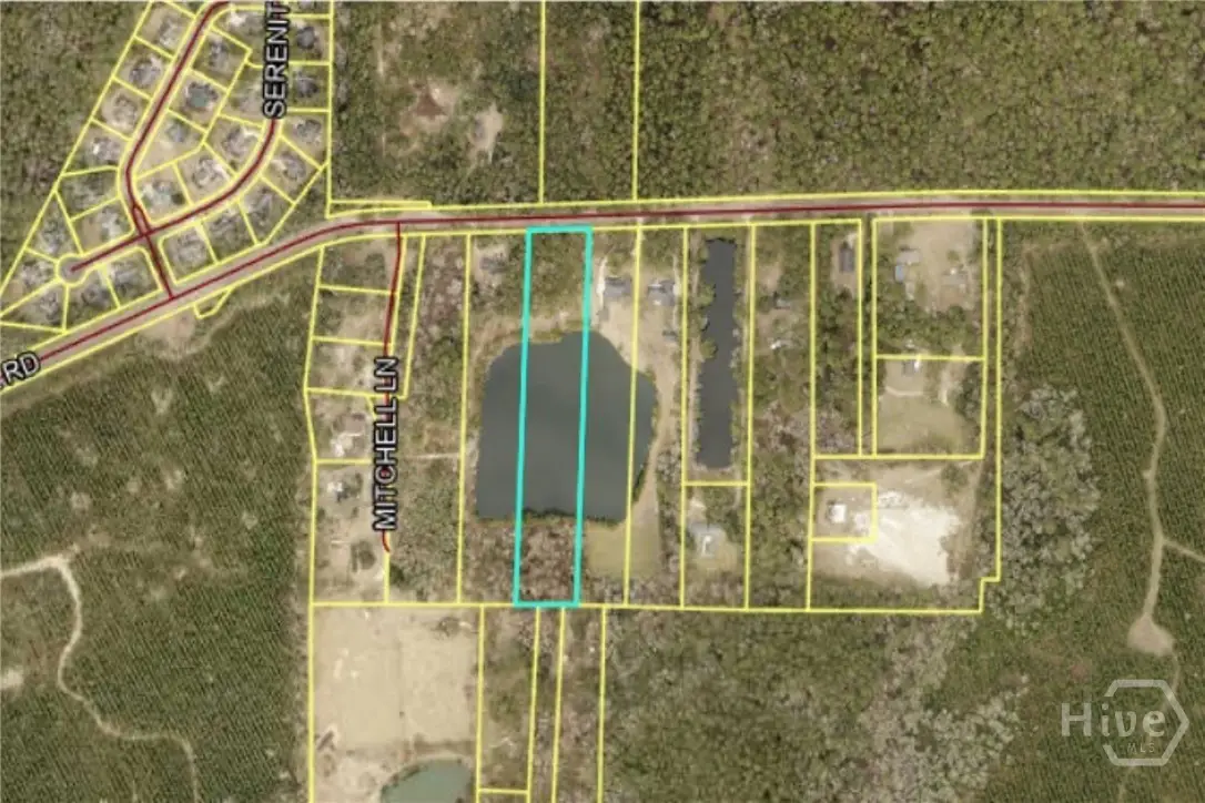 1954 Oak Level Road, Richmond Hill, GA 31324 - #1