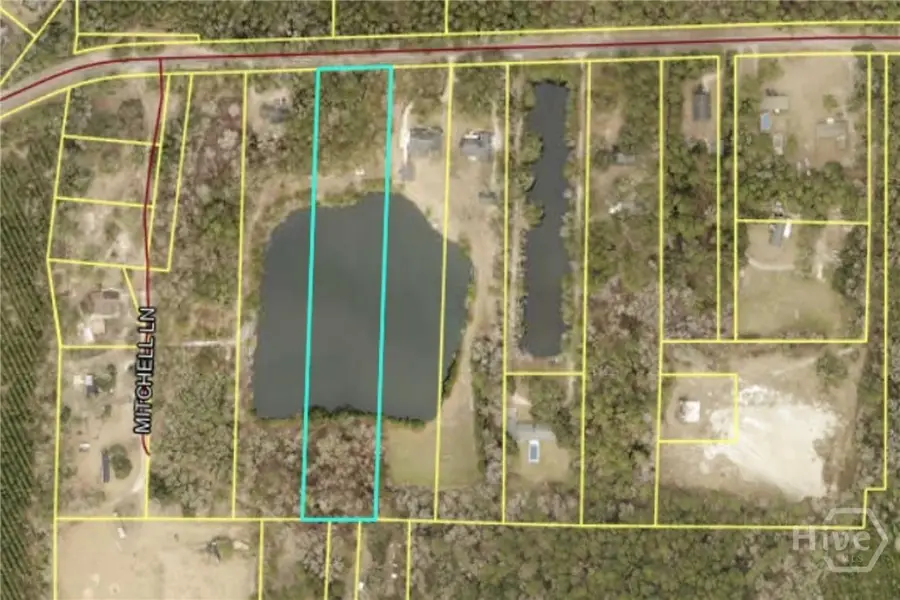 1954 Oak Level Road, Richmond Hill, GA 31324 - #3