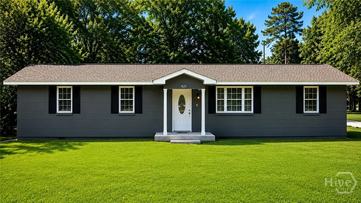249 Early Street, Springfield, GA 31329 - #1