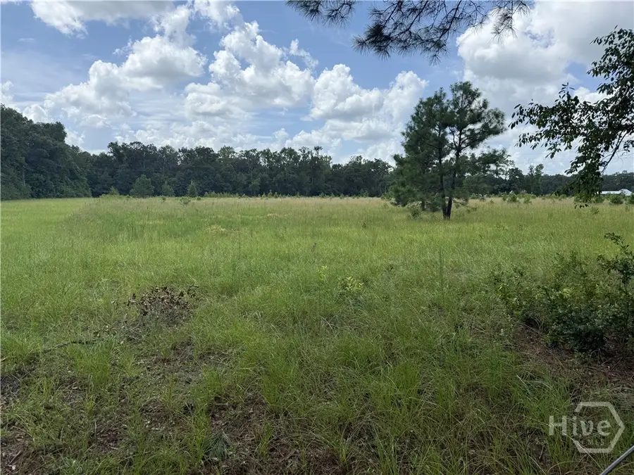 00 Toni Branch Road, Ellabell, GA 31308 - #3