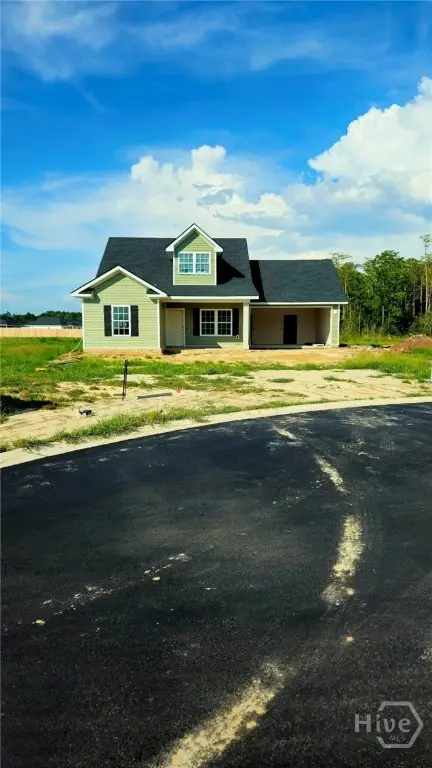 73 Blue Gill Lane, Ludowici, GA 31316 - #1
