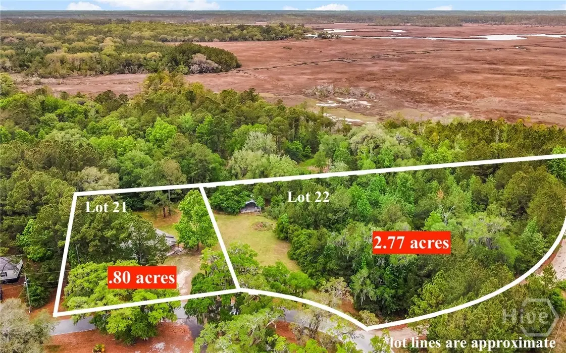 1595 Forest Island Drive, Townsend, GA 31331 - #1