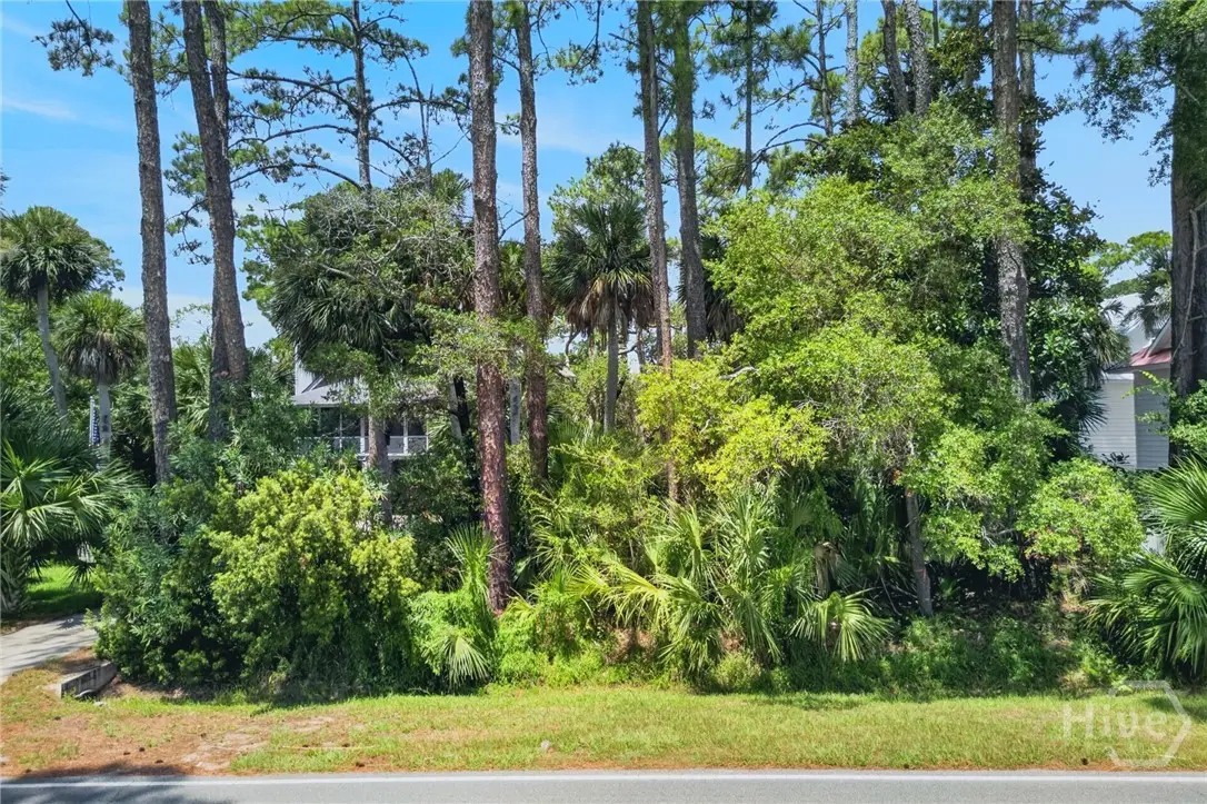 811 Jones Avenue, Tybee Island, GA 31328 - #1