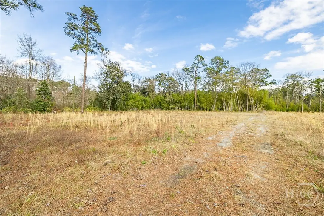 250 S Columbia Avenue, Rincon, GA 31326 - #1
