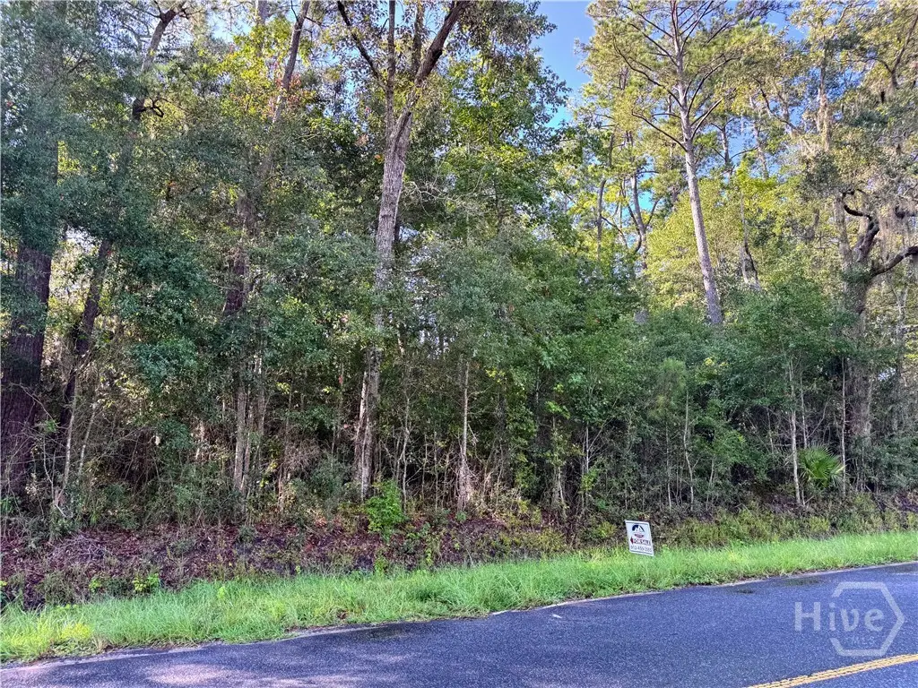 0 Cattle Hammock Road, Midway, GA 31320 - #1