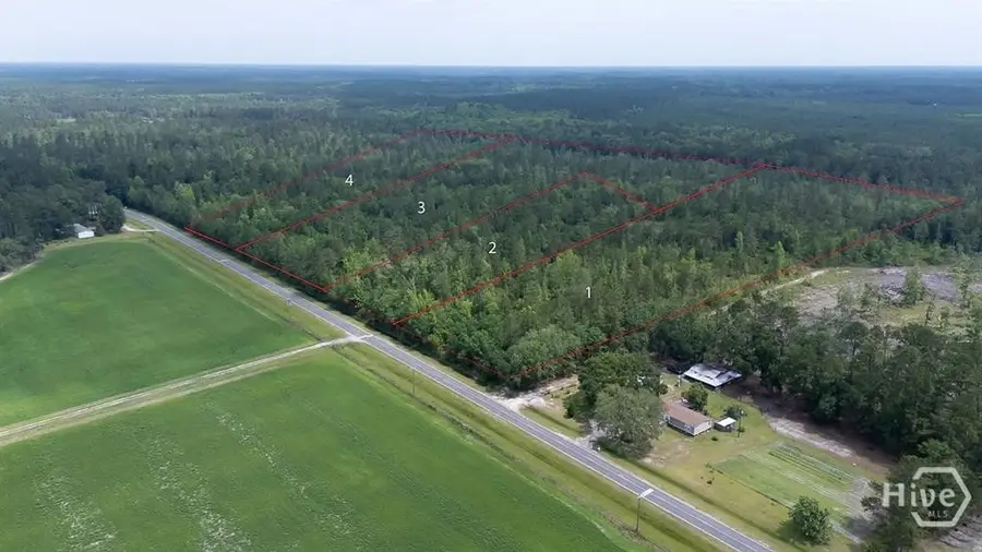 0 Old Louisville Rd. Road #2, Guyton, GA 31312 - #3
